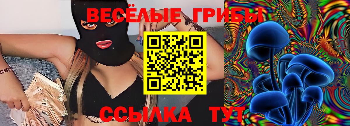 Псилоцибиновые грибы Magic Shrooms  Псилоцибиновые грибы GOLDEN TEACHER  Вход с VPN  Тара 