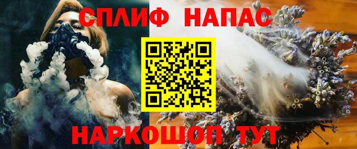 Тара  Бошки Шишки гибрид  Канабис MAZAR  Вход с VPN 